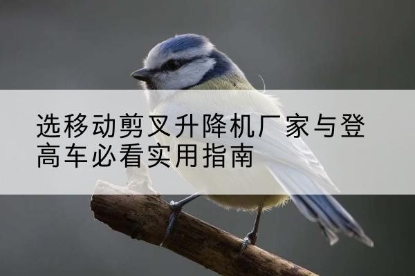蠡县电动升降机厂家-选移动剪叉升降机厂家与登高车必看实用指南