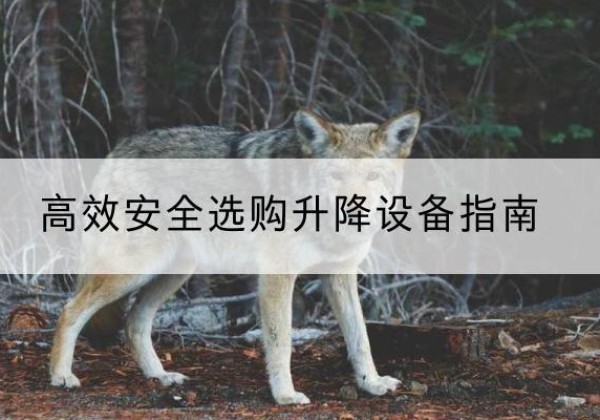 蠡县升降货梯厂家推荐-*安全选购升降设备指南