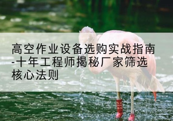 蠡县剪叉式升降机厂家-高空作业设备选购实战指南-十年工程师揭秘厂家筛选核心法则